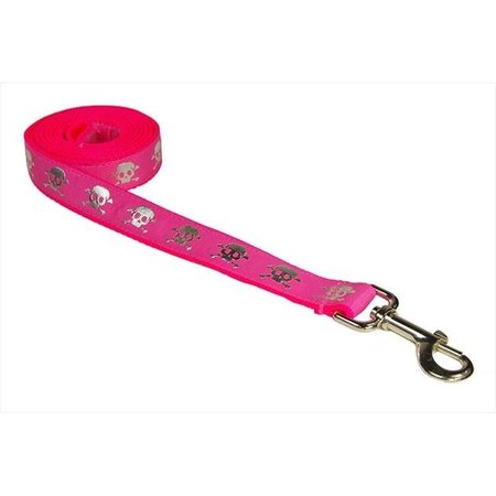 FLY FREE ZONE,INC. 4 ft. Reflective Skull Dog Leash; Pink - Small FL124433